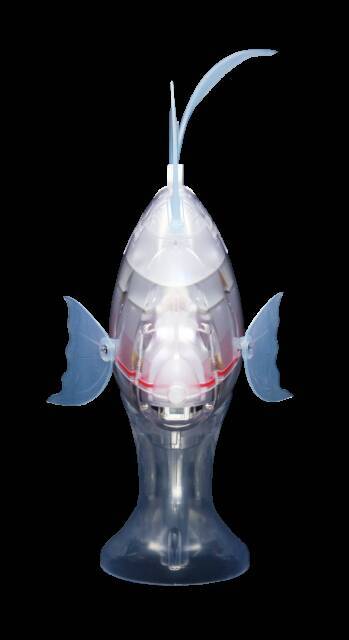 本物の魚のように水槽の中をスイスイ…ロボットフィッシュ「MIRO-5」に注目
