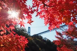 紅葉の名所 布引の紅葉 とクリスマスを同時に楽しむ神戸布引ハーブ園 年11月16日 エキサイトニュース