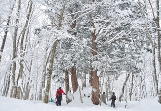 北アルプスの白銀の世界へ！プライベートガイド付き宿泊プラン登場