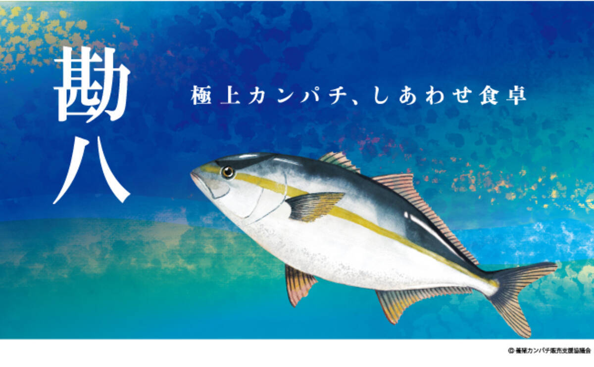 縁起よし 出世魚 極上カンパチを食べて産地を応援 21年1月5日 エキサイトニュース