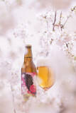「お花見気分で乾杯！桜餅のようなビール「サンクトガーレン さくら」発売」の画像3