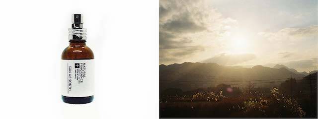 コンセプトは「見える香り」、部屋の中で大自然を感じるルームフレグランス