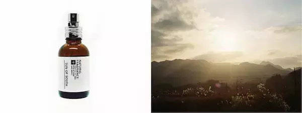 「コンセプトは「見える香り」、部屋の中で大自然を感じるルームフレグランス」の画像