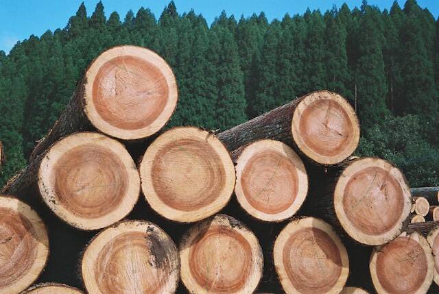 コンセプトは「見える香り」、部屋の中で大自然を感じるルームフレグランス