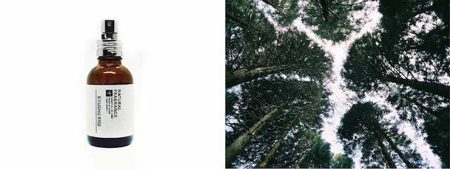 コンセプトは「見える香り」、部屋の中で大自然を感じるルームフレグランス