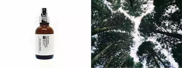 「コンセプトは「見える香り」、部屋の中で大自然を感じるルームフレグランス」の画像