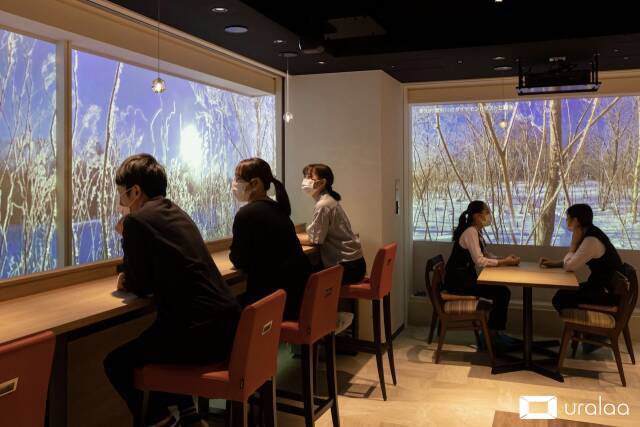 羽田空港で北海道の大自然に触れる！デジタル森林浴「uralaa park haneda」オープン