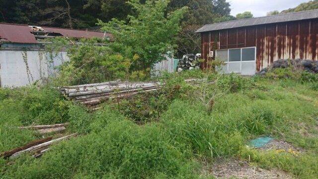 三重県志摩市で環境 エコを体験する 離島キャンプ サウナ 21年8月8日 エキサイトニュース