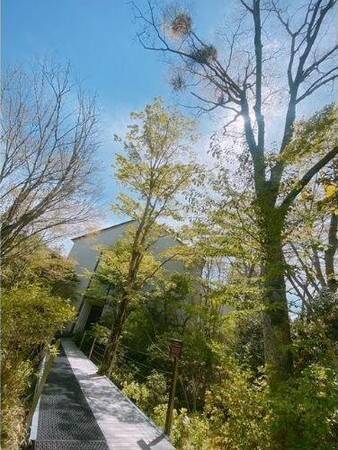 プロポーズや記念日に。「箱根仙石原プリンスホテル」美術館貸切つき宿泊プラン