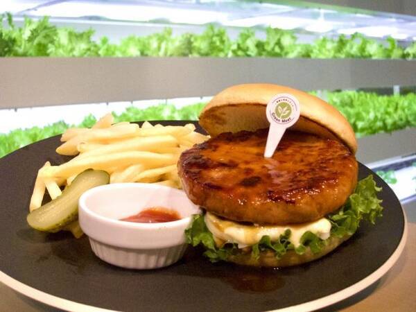 銀座の文房具専門店 伊東屋 のレストランに 植物肉使用のメニューが登場 21年9月9日 エキサイトニュース