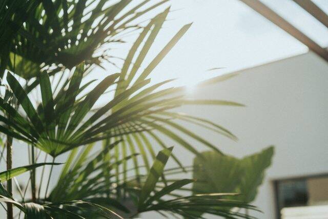 下北沢のシーシャカフェ「chotto」にコワーキングプラン登場