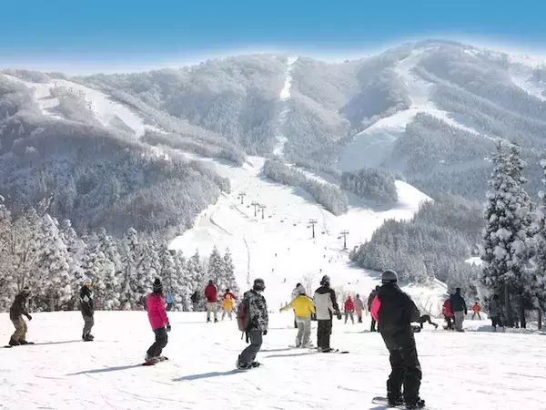 福井・勝山「スキージャム勝山」のゲレンデ冬支度、リフト搬器取付作業を開始