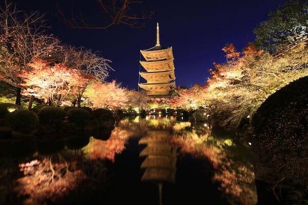 そうだ 京都 行こう 幻想的な灯りが彩る この秋だけの特別な京都の旅 21年10月18日 エキサイトニュース