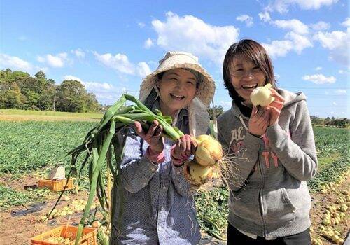 日本で唯一のフィアット公認カフェで「野菜マルシェ」を開催！　