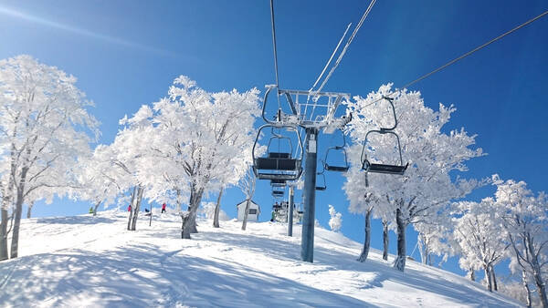 スキーシーズン到来 滋賀 グランスノー奥伊吹に初冠雪 12月18日オープン予定 21年12月3日 エキサイトニュース