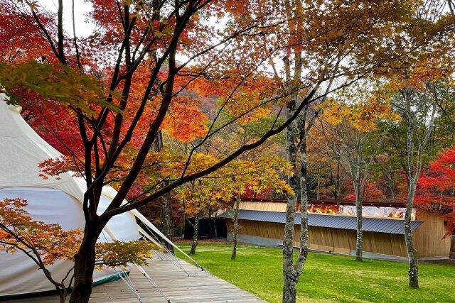 南軽井沢で愛犬と過ごすグランピング施設に「一人すき焼き」登場