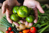 「土佐野菜をサブスクで！高知の無農薬生姜＋旬の野菜の定期便スタート」の画像6