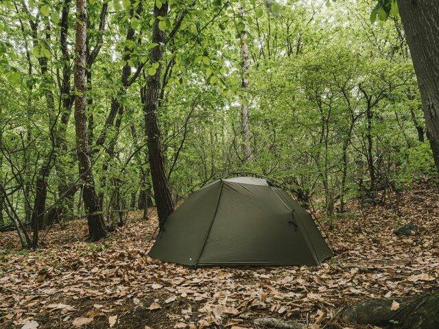 ゼログラム エルチャルテン 程よく ゼロボーン V2 1.5P ダーク  