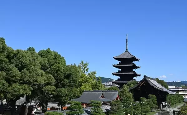 東寺の歴史的魅力に迫る！京都の観光情報メディアが東寺の歴史や建築の魅力を詳しく紹介
