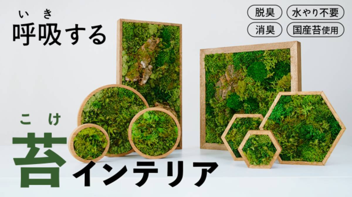 植物のインテリア革命！「呼吸するアート -KOKE-」の新モデルがMakuake 