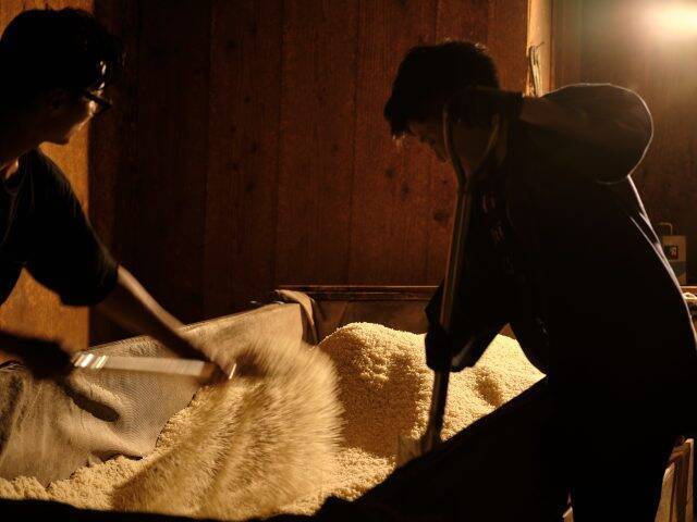 石垣島｜老舗蔵元「池原酒造」がNOT A HOTELとコラボレーション。唯一無二のオリジナル泡盛が誕生