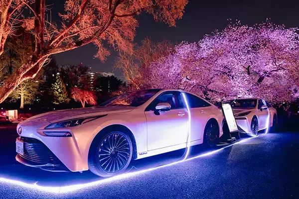 「新宿御苑の花見イベントは「トヨタ MIRAI」などの給電車によるSDGsな夜桜ライトアップにも注目！」の画像