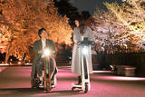 「新宿御苑の花見イベントは「トヨタ MIRAI」などの給電車によるSDGsな夜桜ライトアップにも注目！」の画像4