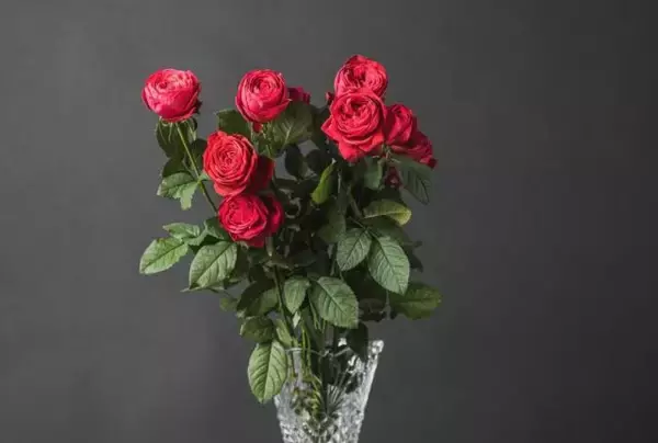 「国産黒毛和牛と季節の花が毎月届く！肉と花のサブスク「BEEFLOWER」オープン」の画像