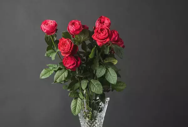 「国産黒毛和牛と季節の花が毎月届く！肉と花のサブスク「BEEFLOWER」オープン」の画像