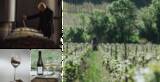 「シャンパーンニュメゾン・テルモンがグローバル・ワイン・マスターズ・アワード2023の一部門で金賞受賞」の画像2