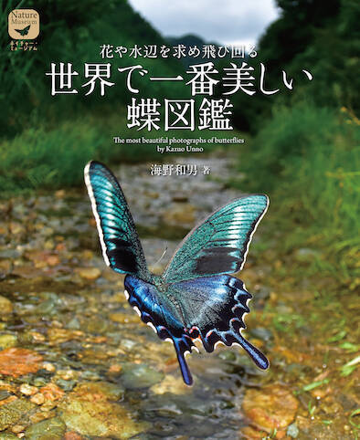 昆虫カメラマン 海野和男氏が撮影した 世界で一番美しい蝶図鑑 22年2月27日 エキサイトニュース