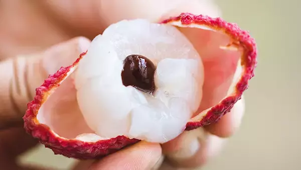 ＜6月11日・12日限定＞東京・新宿｜1粒1,000円！ライチの“王様”と出会うチャンスは今だけ