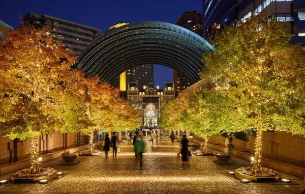 「シャンデリアの輝き｜恵比寿ガーデンプレイス恒例の「Baccarat ETERNAL LIGHTS ー歓びのかたちー」開催」の画像