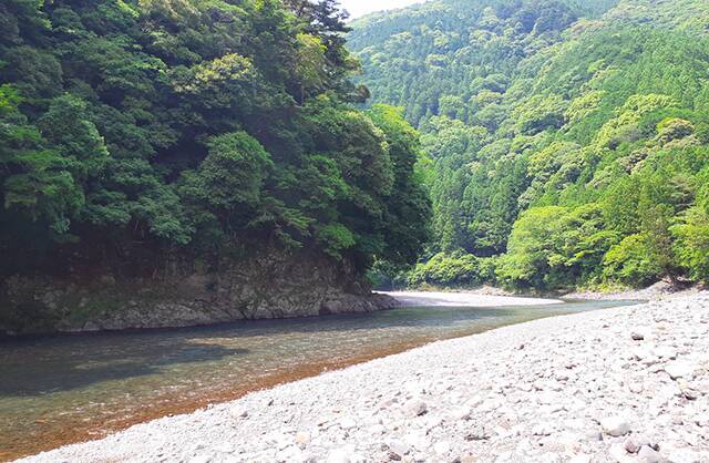 浜松秋葉山｜広大な山林を“自分専用のアウトドアフィールド”にできる「森林レンタルサービス」とは？