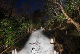 「ホテル椿山荘東京｜都心でもっとも早く雪景色を楽しめる「雪の小路 ～Crystal Snow Path～」」の画像1
