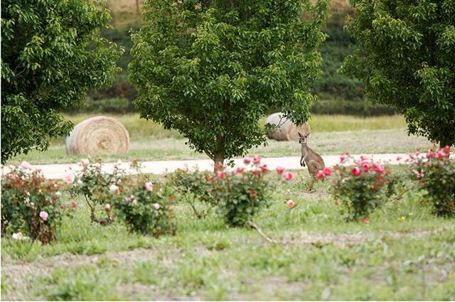 新潟｜スノーピークの複合型リゾートでJurliqueとコラボした心ときめくリトリートプランがスタート