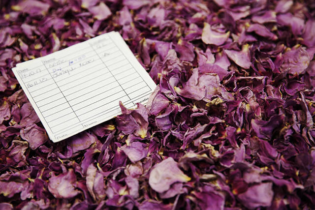 新潟｜スノーピークの複合型リゾートでJurliqueとコラボした心ときめくリトリートプランがスタート