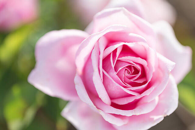 新潟｜スノーピークの複合型リゾートでJurliqueとコラボした心ときめくリトリートプランがスタート