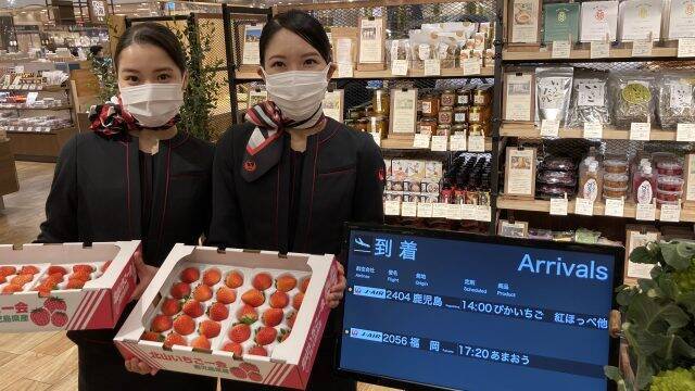 新幹線と航空機で「朝獲れ」を直送！阪急うめだ本店「PLATFARM MARKET」