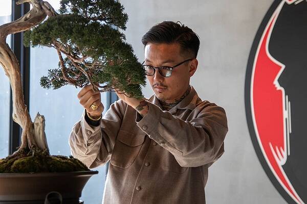 京都の両足院で盆栽「TRADMAN’S BONSAI」の展覧会開催。ランドローバーに着想を得た美と技が息づく