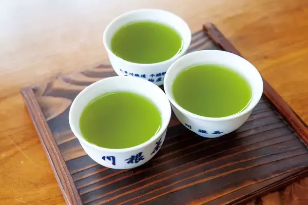 「世界が共感した絶景を体感！「大井川流域観光魅力発見フェア」東京で開催」の画像