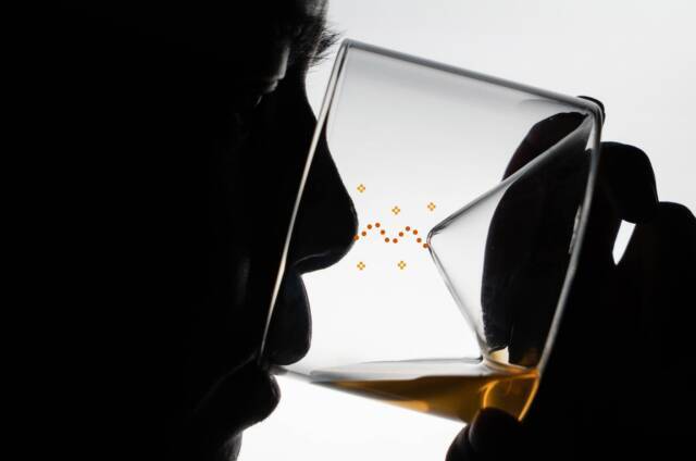 【まとめ】自宅の晩酌タイムがもっと楽しく。ビールやウイスキーの楽しさを格上げするこだわりグラス5選