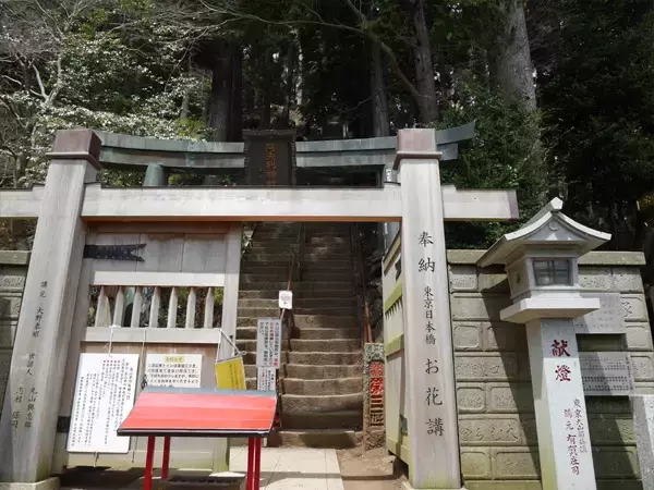 「霊山「大山阿夫利神社」参拝とパワースポット温泉」の画像