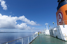 祝・世界自然遺産登録！「 奄美大島」「徳之島」にフェリーで行く船旅を満喫!