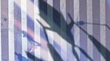 「アメリカでの皆既日食に合わせて『ポケモンGO』である動画が公開…街にかかる謎の影は「ネクロズマ」かー「ポケモンGO Fest 2024」のロゴも」の画像2