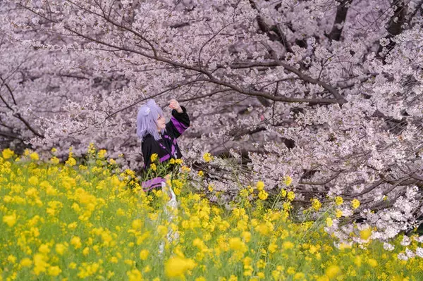 「【コスプレ】2月22日は「ホロライブ」猫又おかゆの誕生日！癒しの低音ボイスと全てを肯定する優しさを愛する美女レイヤーまとめ【写真50枚】」の画像