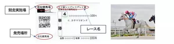 「『ウマ娘』×「笠松競馬場」コラボ決定！芦毛馬・白毛馬限定レース「ウマ娘 シンデレラグレイ賞」などを実施」の画像