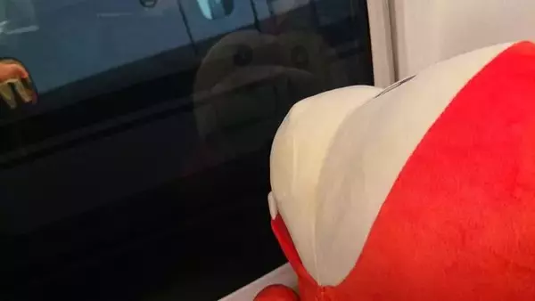 「1匹旅に出て帰還する「おかえりホゲータ」がSNSで話題に―ハートフルかつコミカルな一連のツイートにいいね24万件」の画像