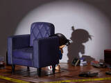 「「名探偵コナン」あの推理シーンを再現…！「江戸川コナン」がソファーと共に立体化ー限定特典には「眠りの小五郎」アクスタ」の画像4