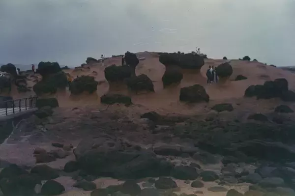 「【特集】どこか懐かしくてエモすぎる写真の数々！フィルムカメラで撮る台湾の旅はコスパが悪い、現像が手間…だがそれが良い【写真21枚】」の画像